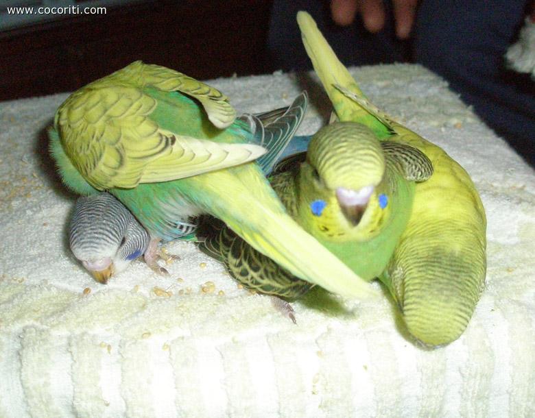 i piccoletti sono cresciuti!